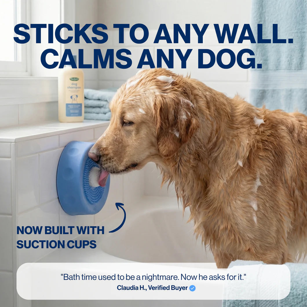 The Natural Calm Down Switch Hiding In Your Dog's Tongue