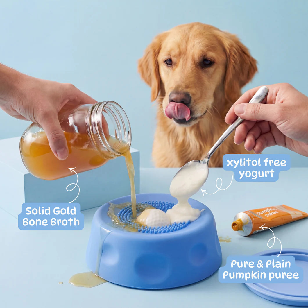 The Natural Calm Down Switch Hiding In Your Dog's Tongue